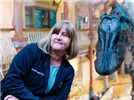 Caring for the Nation's Favourite Dinosaur: The life and times of Dippy the Diplodocus
