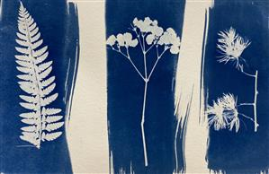 Art Masterclass: Cyanotype Skulls & Nature Prints 